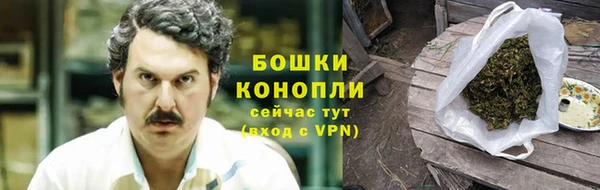 сатива Баксан
