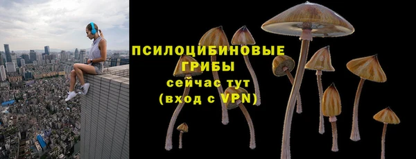 Альфа ПВП Остров
