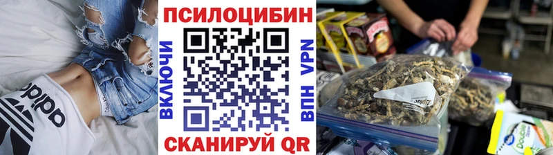 Псилоцибиновые грибы Psilocybine cubensis  Пестово 