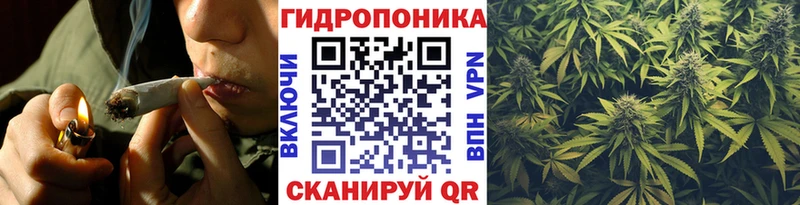 где продают   Пестово  Конопля гибрид 